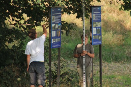 Click to zoom the picture.